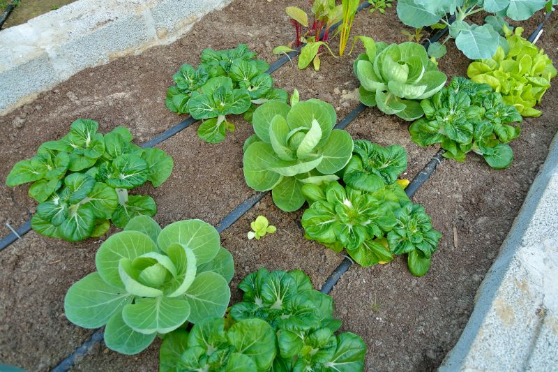 Underground Drainage Systems