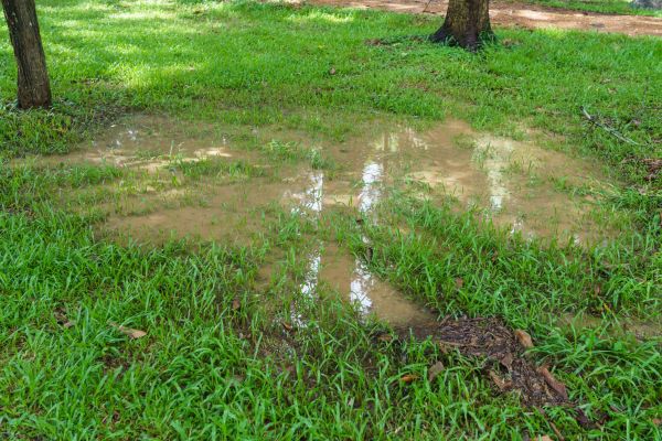 Storm Water Drainage Service in Gig Harbor