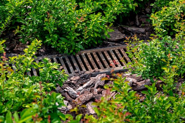 Underground Drainage Service in Gig Harbor