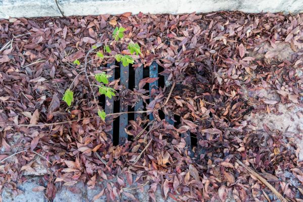 Yard Drain Unclogging in Gig Harbor