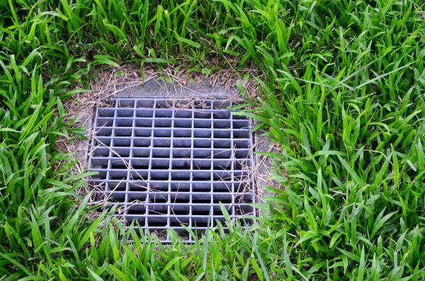 Cost of Yard Water Drainage in Gig Harbor