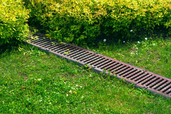 Cost of Lawn Drainage in Gig Harbor
