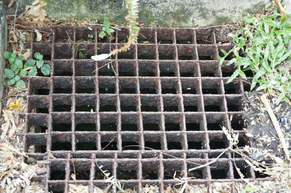 Yard Drain Cleaning in Gig Harbor