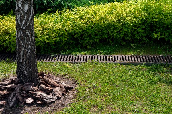Wet Yard Drainage in Gig Harbor