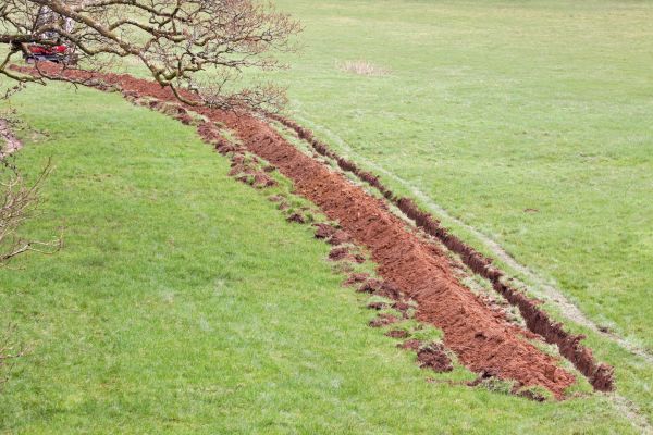 Cost of Swale Installation in Gig Harbor