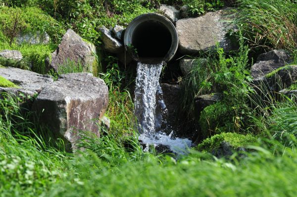 Water Redirection in Gig Harbor