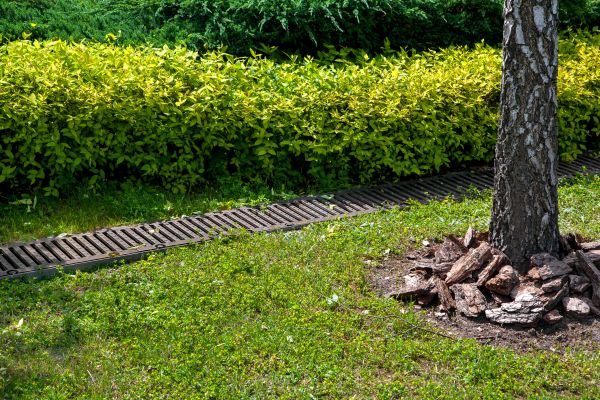 Residential Landscape Drainage in Gig Harbor