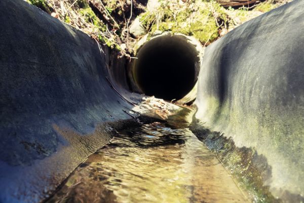 Drainage Swale Installation in Gig Harbor