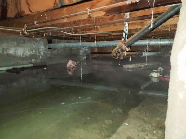 Cost of Crawlspace Drainage in Gig Harbor