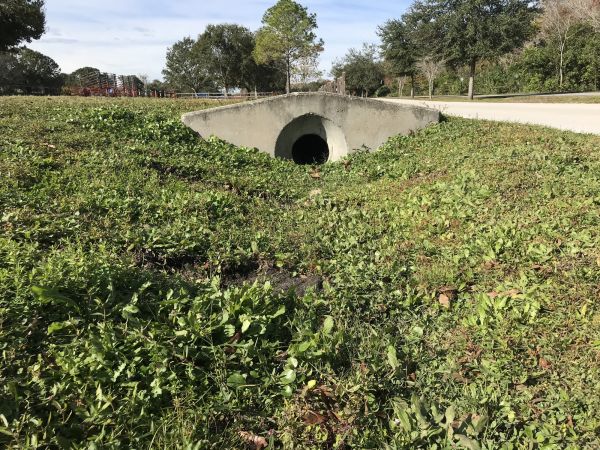 Cost of Swale Drainage Service in Gig Harbor